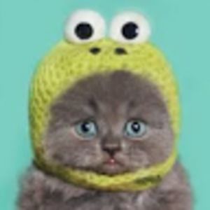 Meet your Posher, Isabel